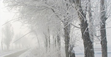 黒と白 Painting - 雪の降る田舎の白黒
